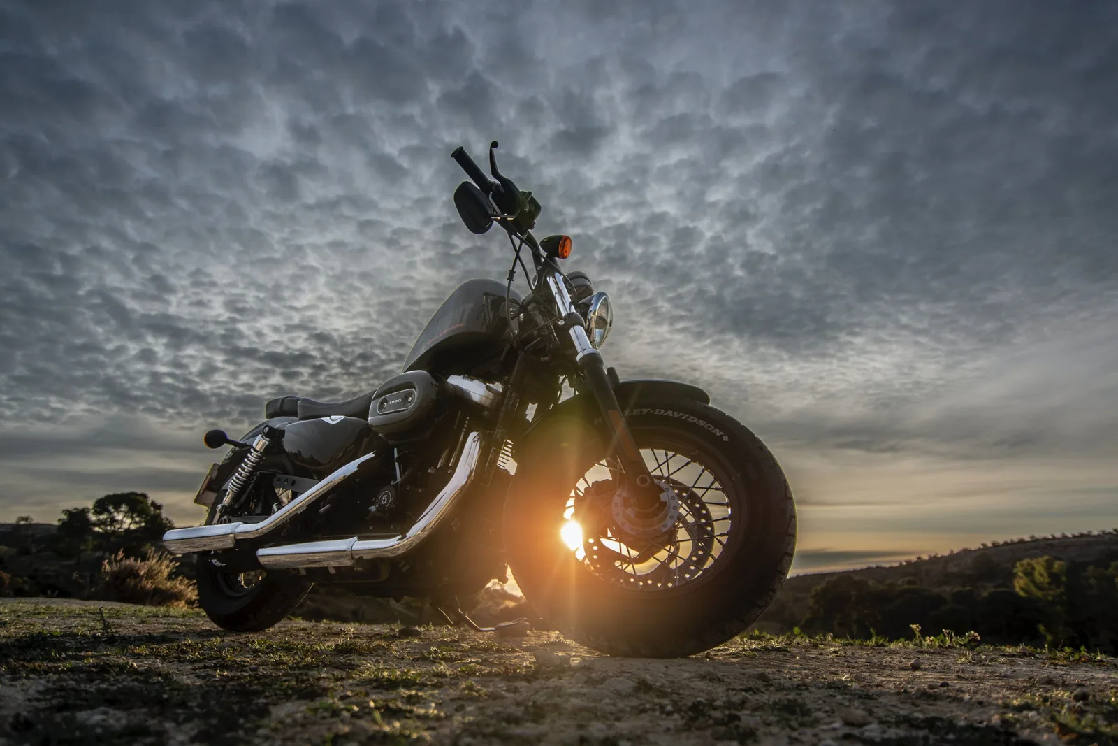 America's best motorcycle shipping companies