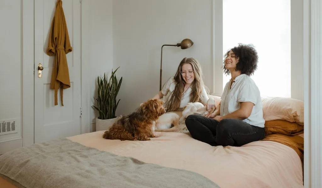 Couple et animaux pendant le jour du déménagement