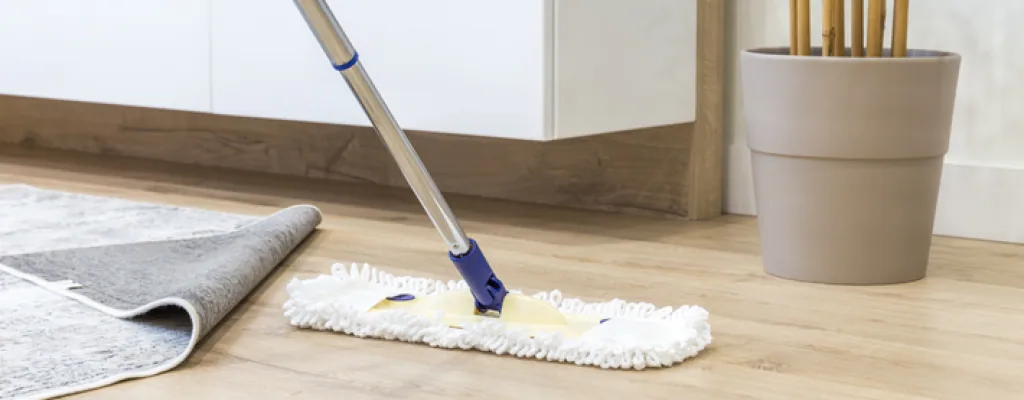 Cleaning-4.png