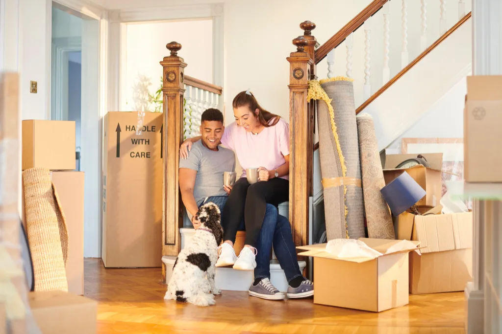 Moving with a Dog: A Complete Guide to a Successful Move with Your Pet