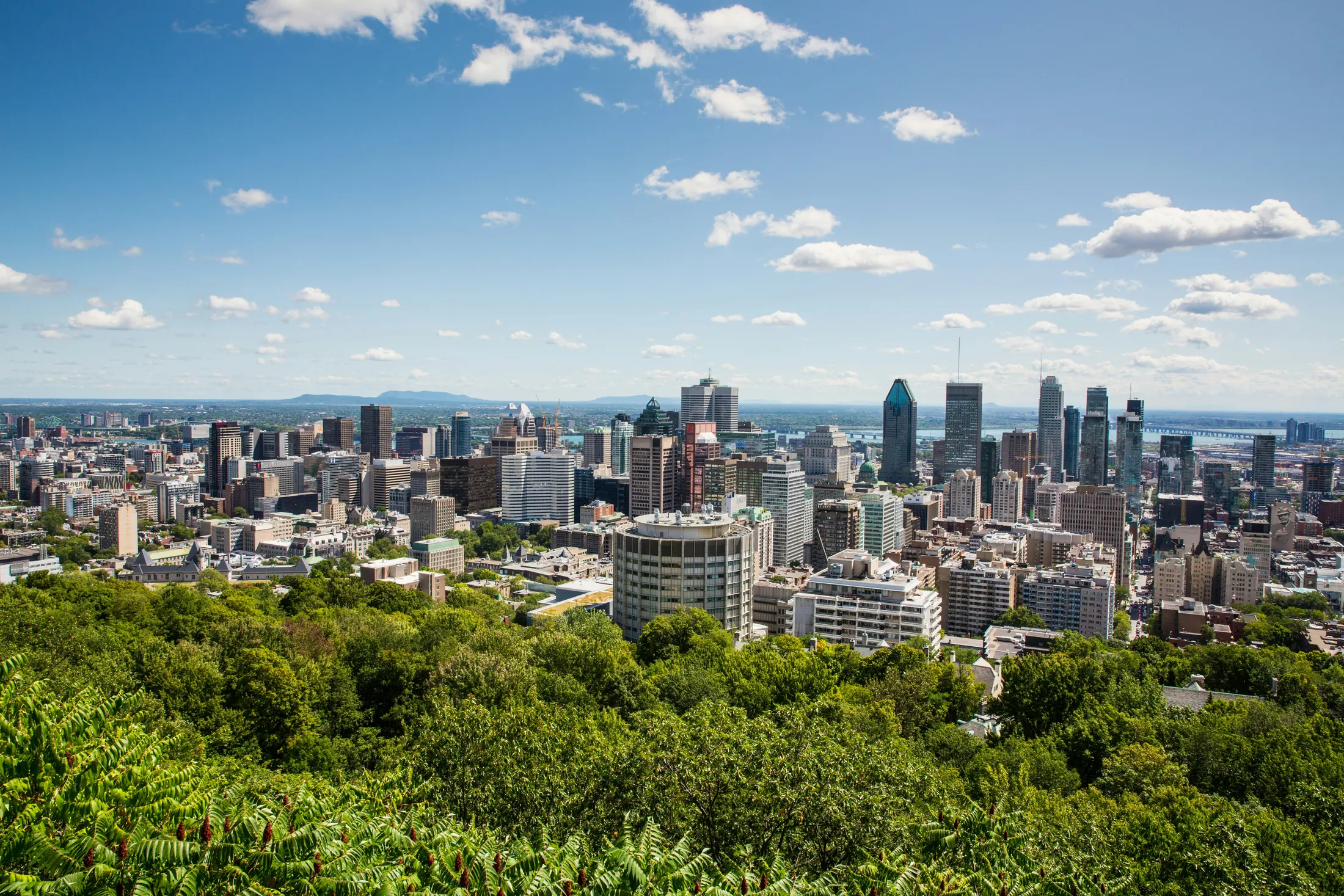 Montreal skyline viewed from Mount Royal