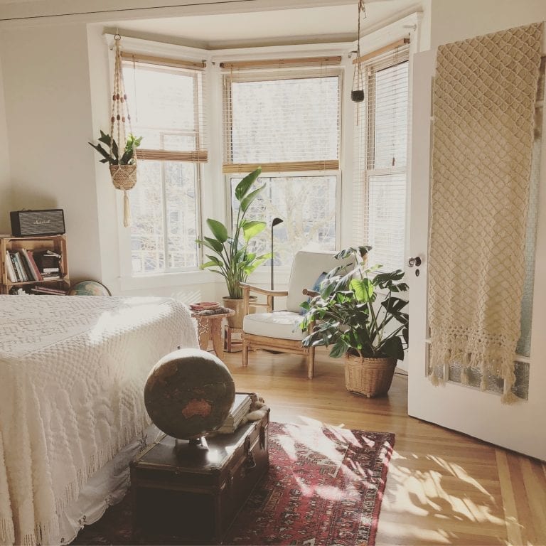 Decorating rental with plants 2