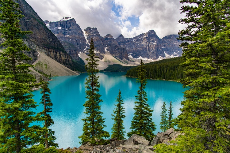 moving to Alberta