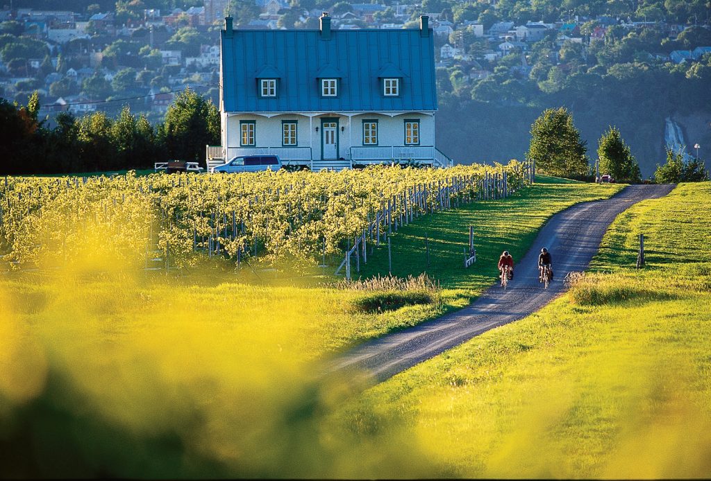 moving to Quebec City - neighbourhood