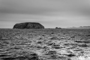 moving to Newfoundland