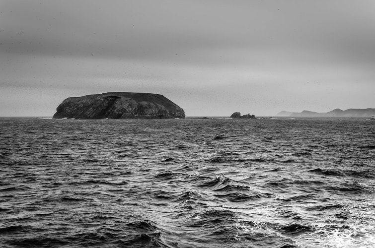moving to Newfoundland