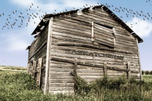 moving to saskatoon