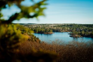 moving to Halifax