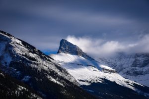Best Medicine Hat moving companies
