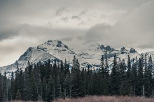 Best Banff moving companies