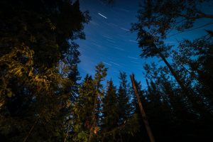 Bragg Creek Storage