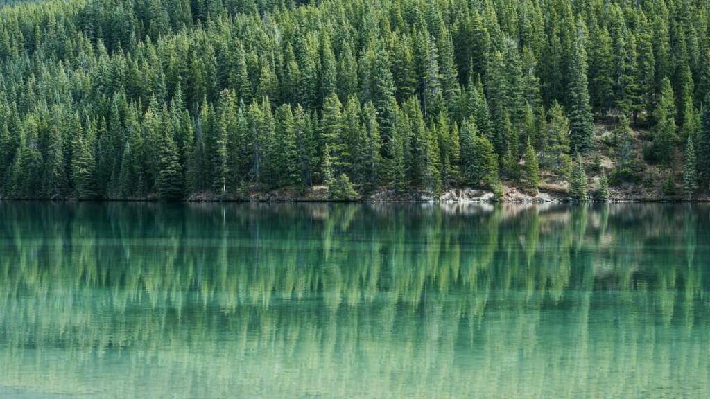 Banff - internet providers