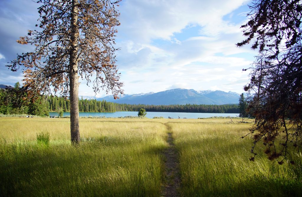 Spruce Grove - Moving Truck Rentals