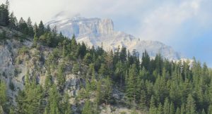 Banff - Home Security System