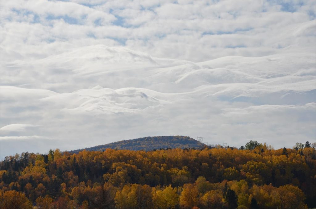 Mount-Royal - Entreposage