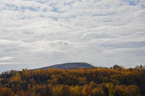 Mount-Royal - Entreposage