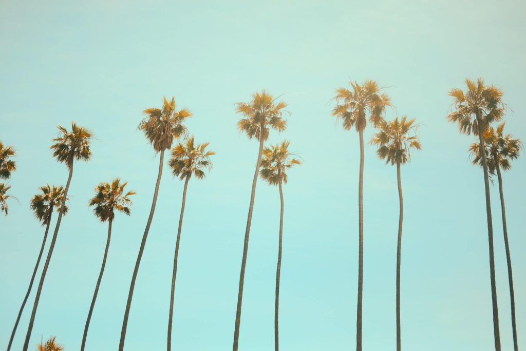 Moving to California