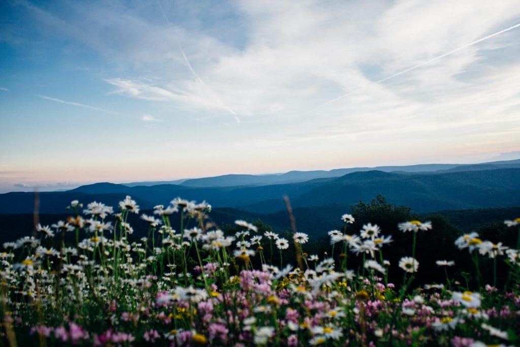 Monongalia County, West Virginia, United States