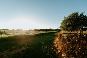 Cost of living -