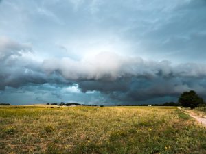 Oklahoma farm fields, United States
