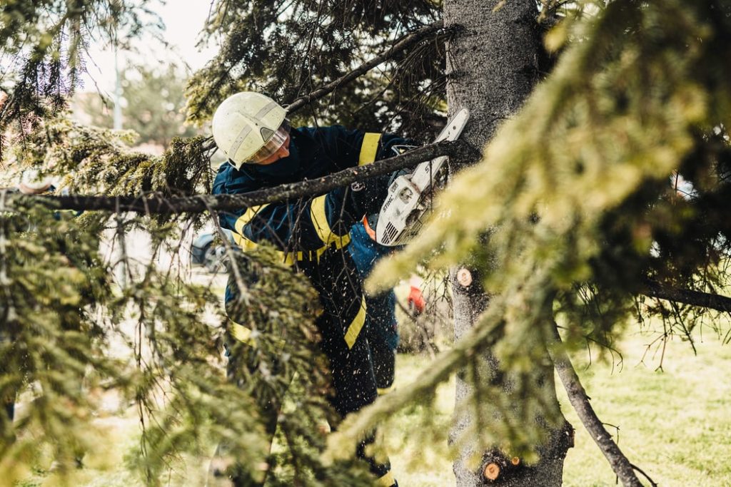 Tree cutting service
