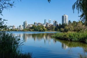 Surrey - Junk removal services