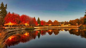 Vancouver to Nanaimo moving companies