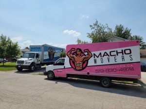 Macho Movers - review