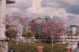 Vancouver - Office movers