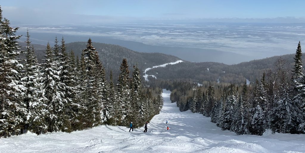 Chalet à vendre à Charlevoix