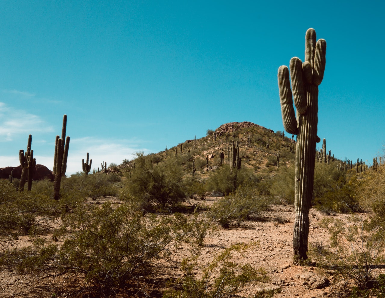 Top 5 Best Moving Companies in Gilbert, AZ