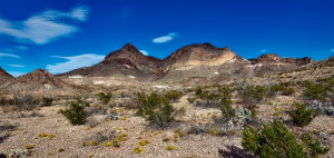 Cheapest places to live in Texas - landscape