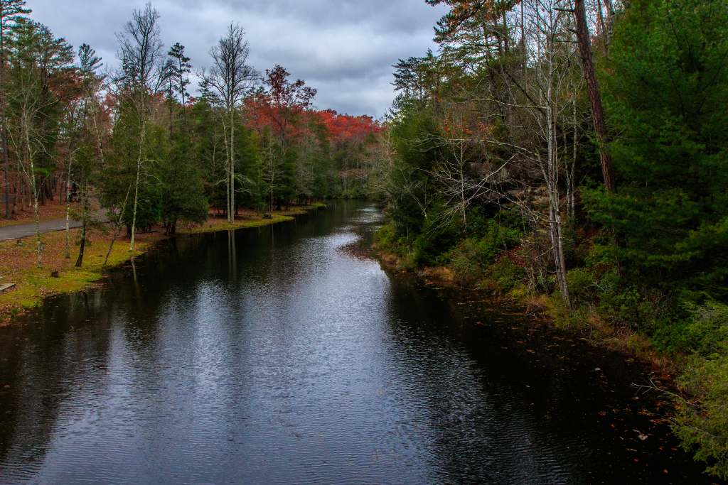 Top 5 Safest cities in Tennessee with the Best quality of life 2023