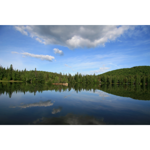 Maisons à vendre dans les Laurentides