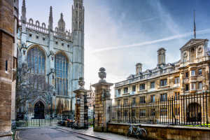 Best Cambridge removals