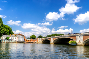 Best Kingston removals
