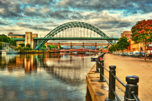 Best Newcastle removals
