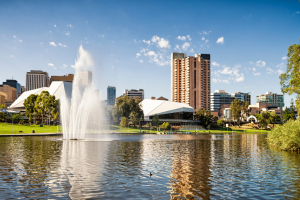 Adelaide removalists