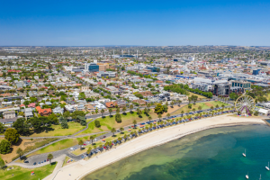 Geelong removalists