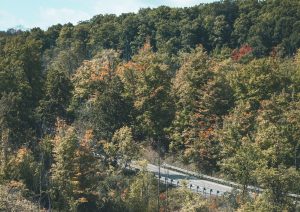 Best Greater Sudbury moving companies