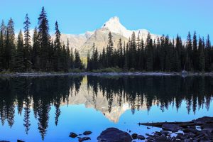 Best Maple Ridge moving companies