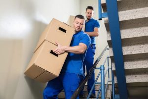 Image movers faq Ottawa