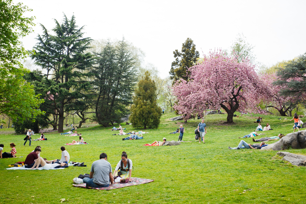 people in central park in nyc