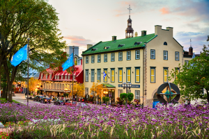 Ville de Québec - déménagement