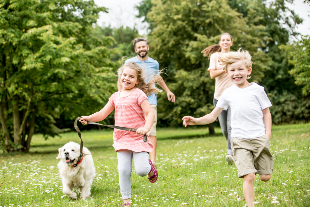 Top 7 Best places to live in Canada with the Best quality of life 2024