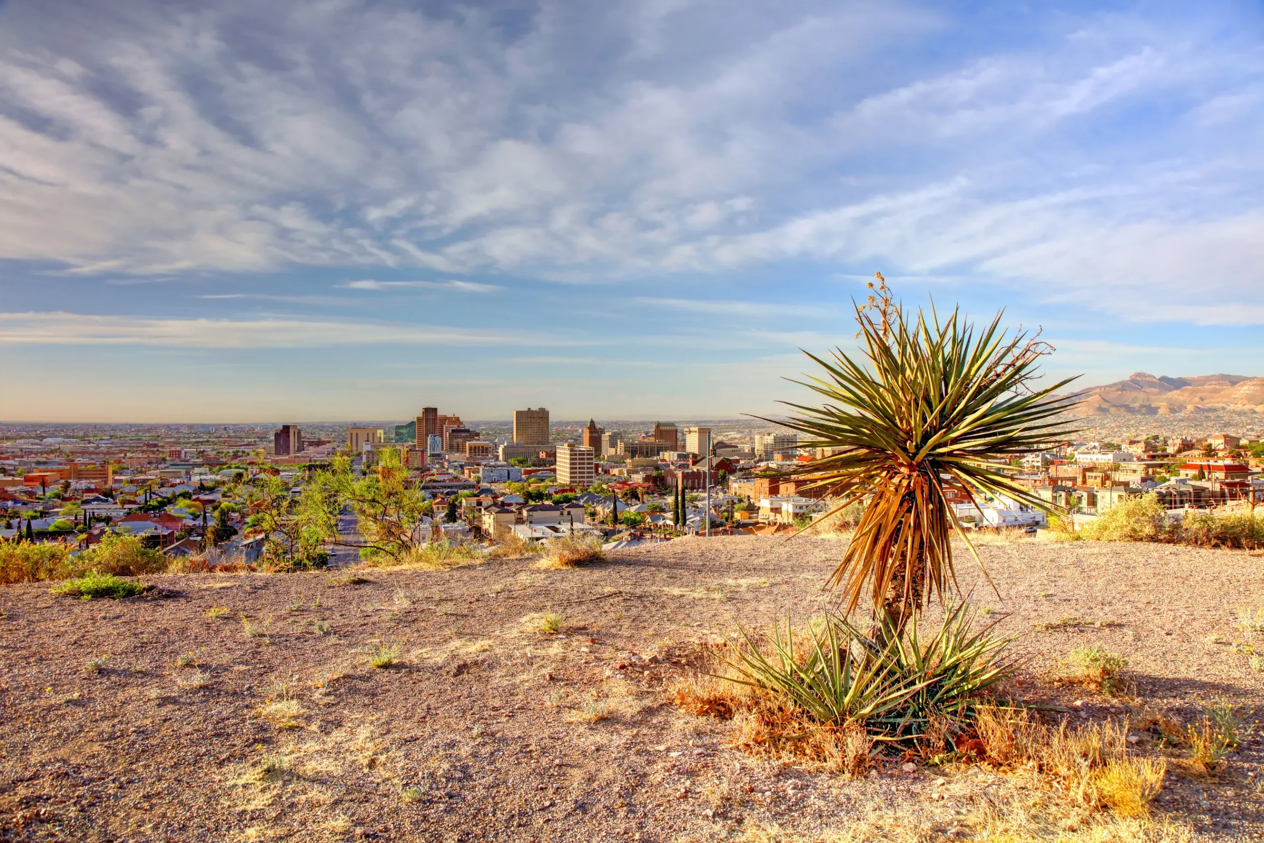 texas desert
