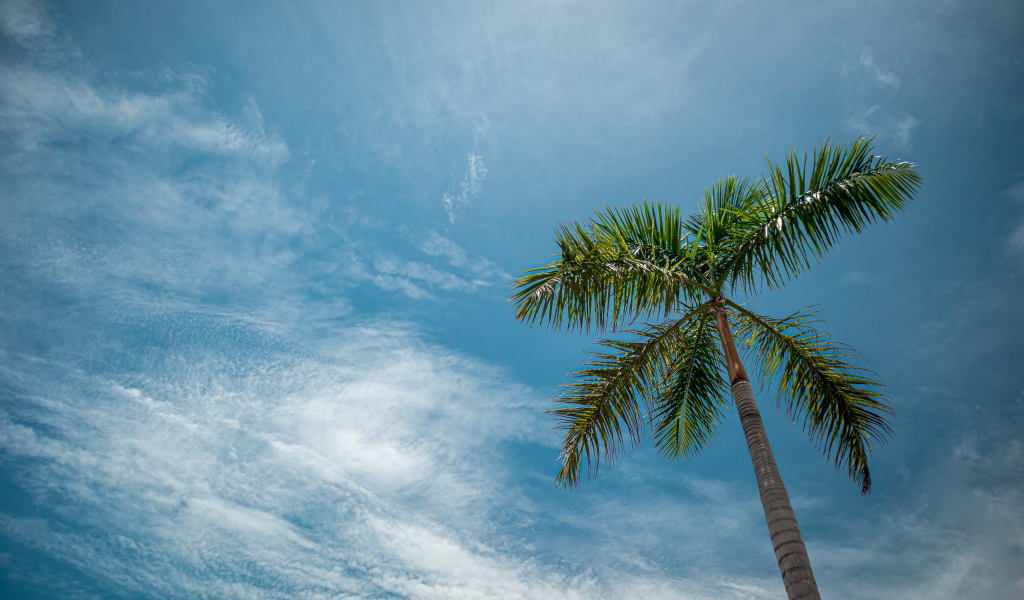 2. Palm Bay 2. Palm Bay