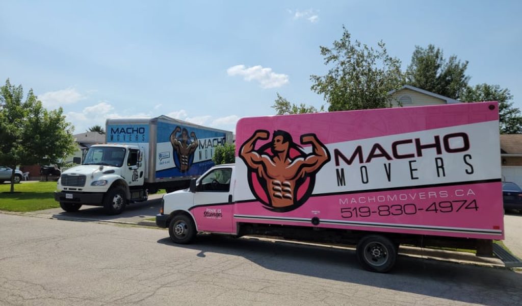 Macho Movers – review Macho Movers - review