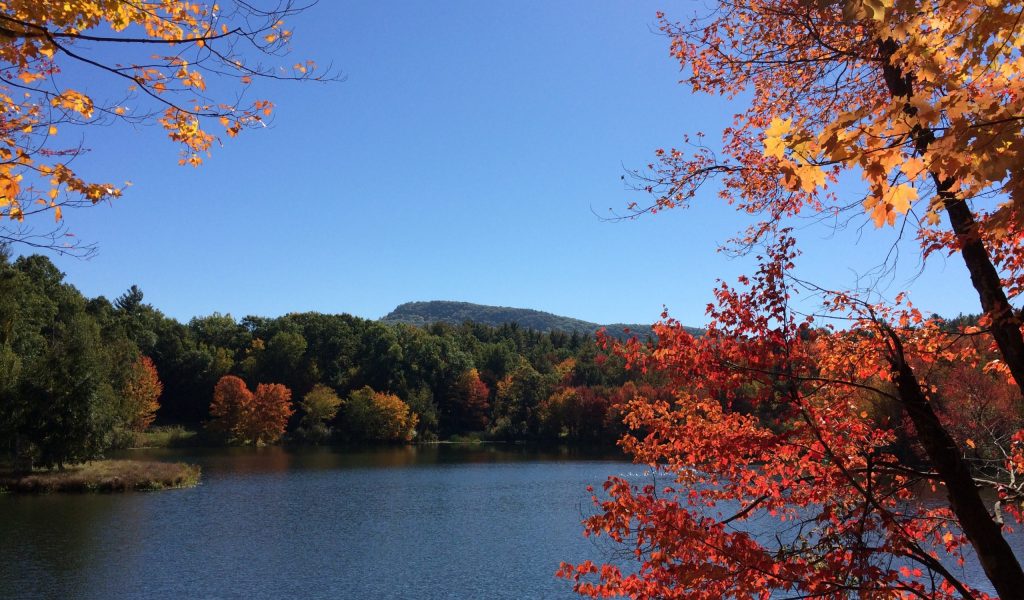 3. Amherst 3. Amherst