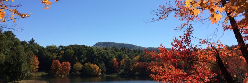 3.-Amherst-scaled-1.jpg